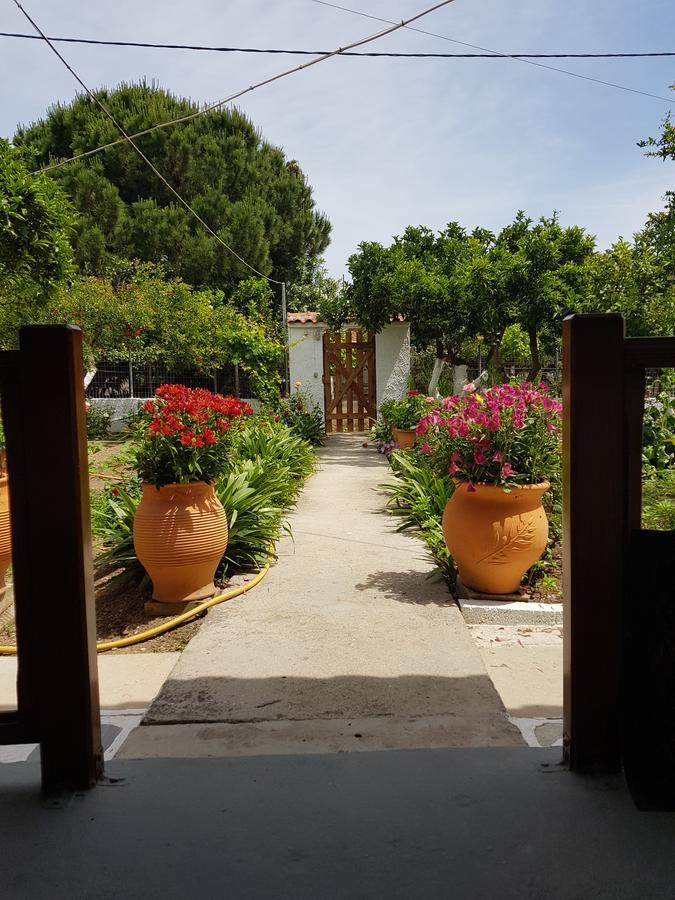 Asimina'S House Aparthotel Skiathos Exterior foto