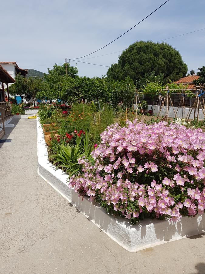 Asimina'S House Aparthotel Skiathos Exterior foto